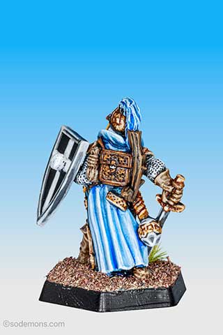 ADD6 Paladin - Mid Level