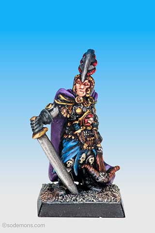 Evil Dark Elf Captain