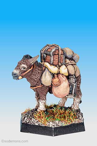 Pebble the Pack Donkey