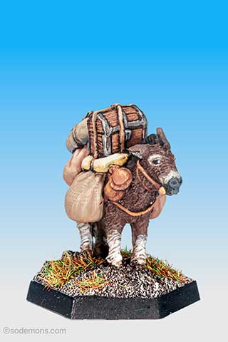 Pebble the Pack Donkey