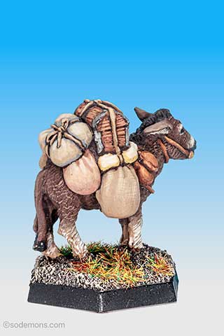 Pebble the Pack Donkey