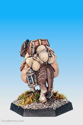 Pebble the Pack Donkey