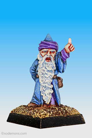 Fungil Wisebeard, the Sage