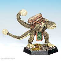 C24 Troglodytes - Drummer