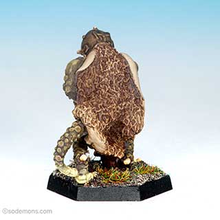 C24 Troglodytes - Club Warrior