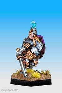 C33 Elf Hero on Foot