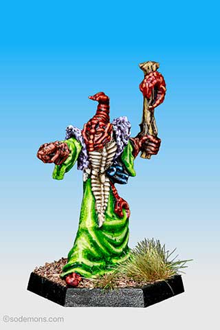 Darumogt Lizardpriest