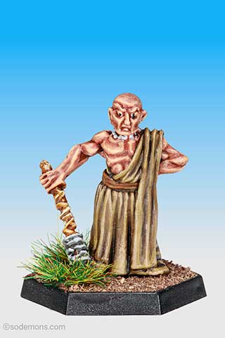 Wizened Priest