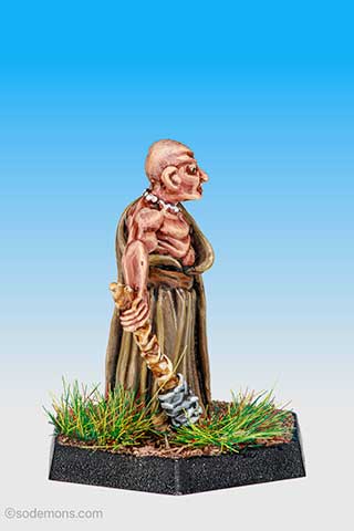 Wizened Priest