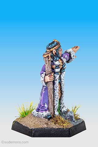 C08 High Elf Fighter Mage