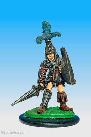 C08 High Elf Fighter