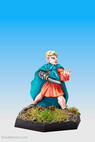 C33 High Elf Hero on Foot
