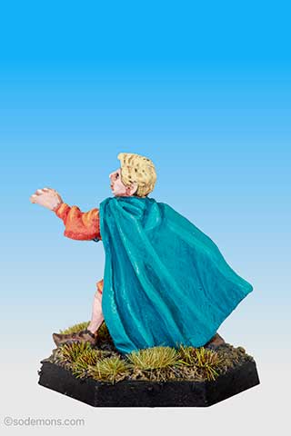 C33 High Elf Hero on Foot