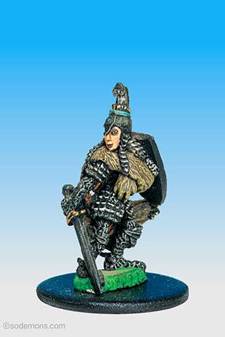 C33 Elf Hero on Foot