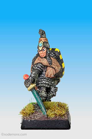 C33 Elf Hero on Foot