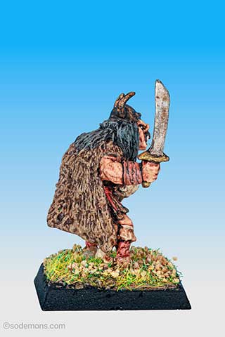 Warlord with Sword & Shield