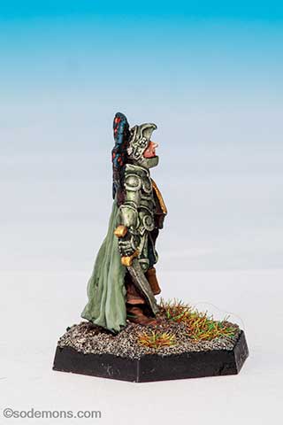 01-091 Elf Hero on Foot