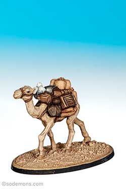 01-128 Camel B