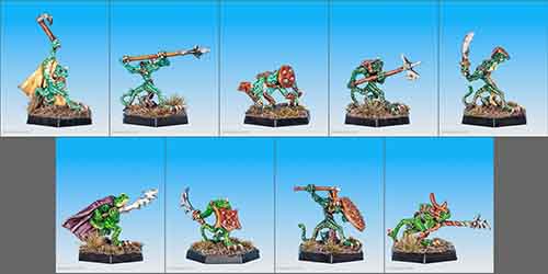 01-304,5,6 Troglodytes