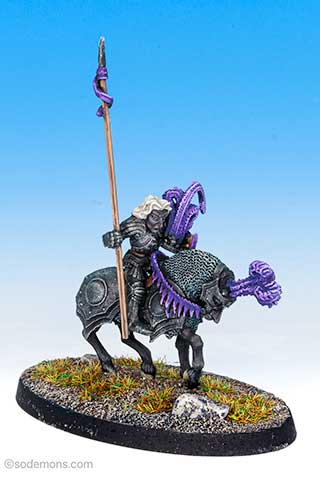 01-307 Staridrim, Drow Elf Lord mounted