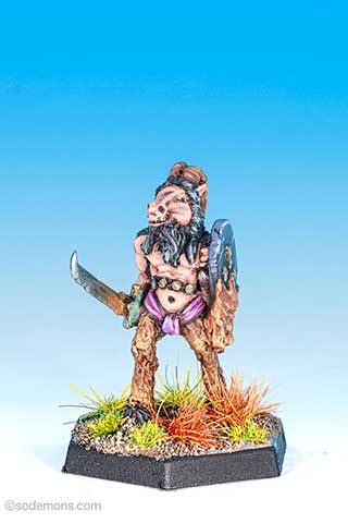 Broo with sword and shield