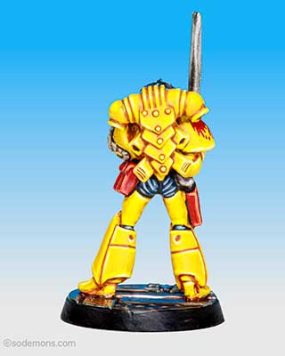 RT601-01 Female Warrior Jayne