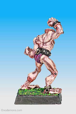 The Wittgenstein Monster