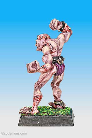 The Wittgenstein Monster