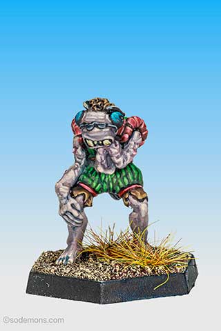 Ludwig von Wittgenstein