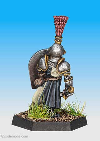 Castle Wittgenstein - Guard Sergeant