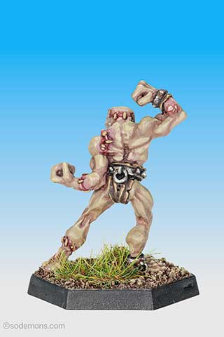 The Wittgenstein Monster