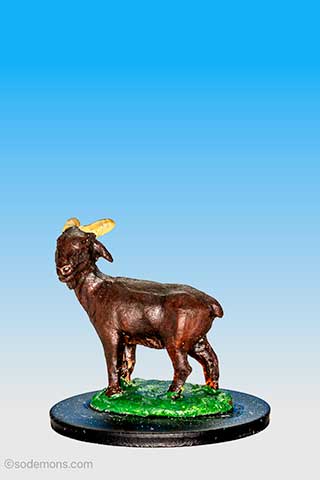 FS70 Sacrificial Goat