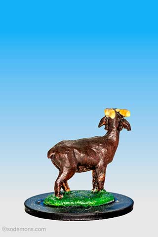 FS70 Sacrificial Goat