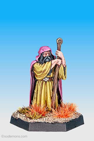 Hooded Wizard with Staff